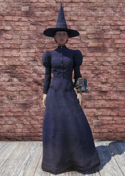 Halloween costume witch | Fallout Wiki | Fandom